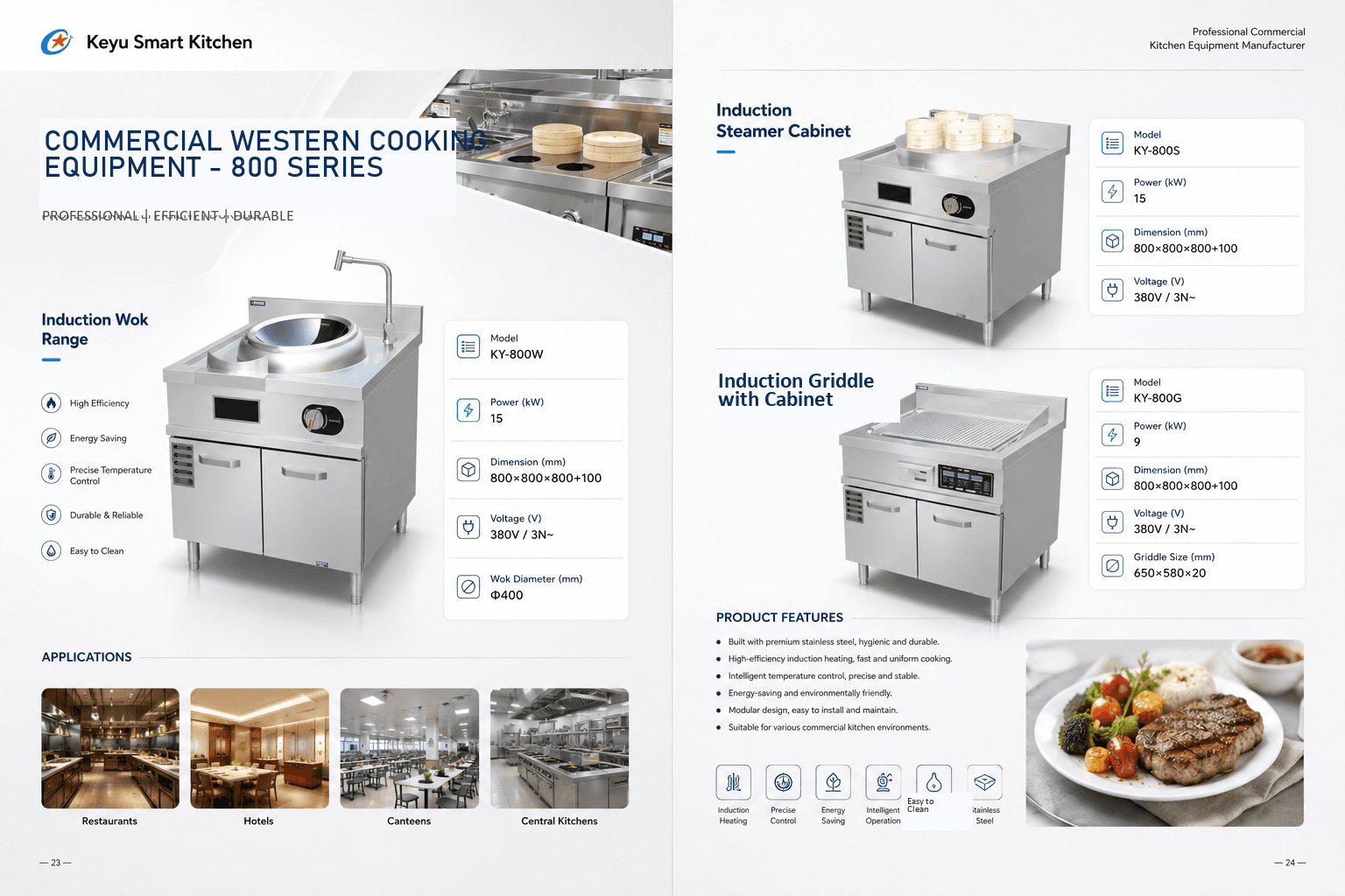 Commercial Induction Cooking support equipment 2